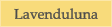 Lavenduluna